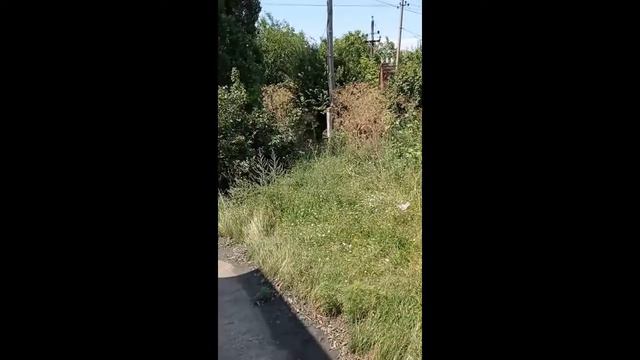 Село Чок-Майдан - разруха на каждом шагу