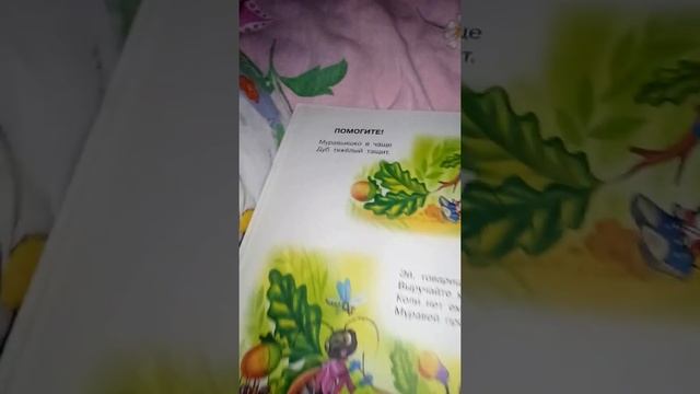 11e32198d28966ce6578323959876bda