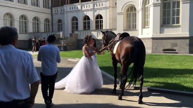 64c1a6cc9b01cf4d26429d5d909c6995