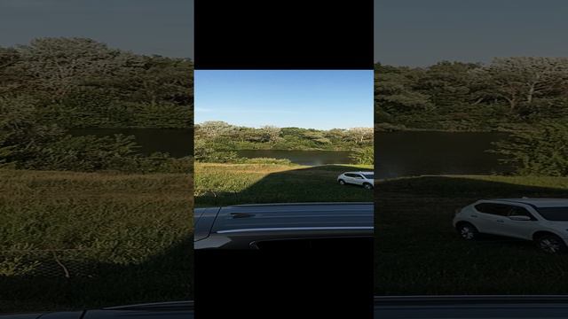 Кайф на даче 😀