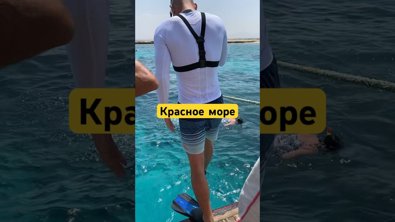 B9c92395b6b31f95ee58d15bcc9b0382