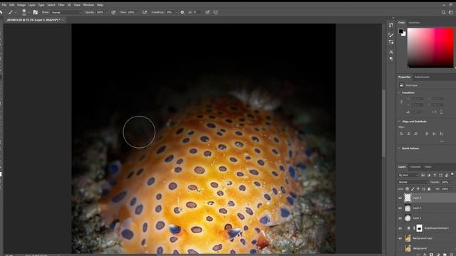 Post-Processing For Beginners: Basic Photoshop 7/7