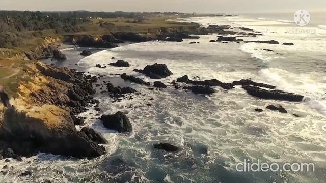 Доброе дело вместе.Кто же эти псы и пиявки?