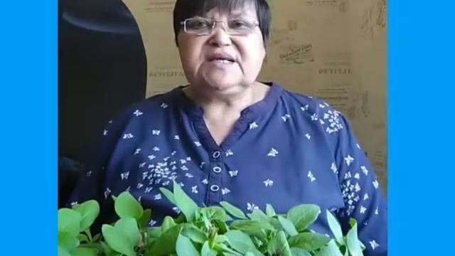 Социально-педагогический проект «Цветы добра»