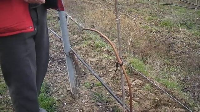 E8854a3bbfcf1a0c4e8bd7e9c32a006f