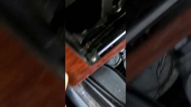 Бегущие мечты