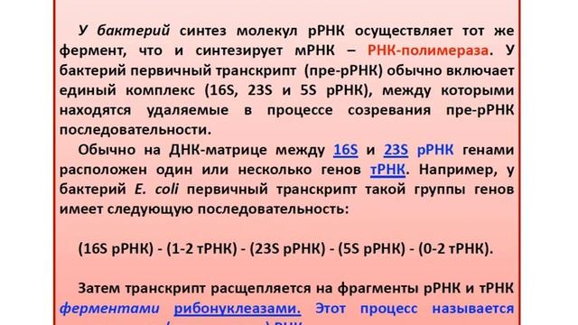 Секреты Творческого Саморазвития