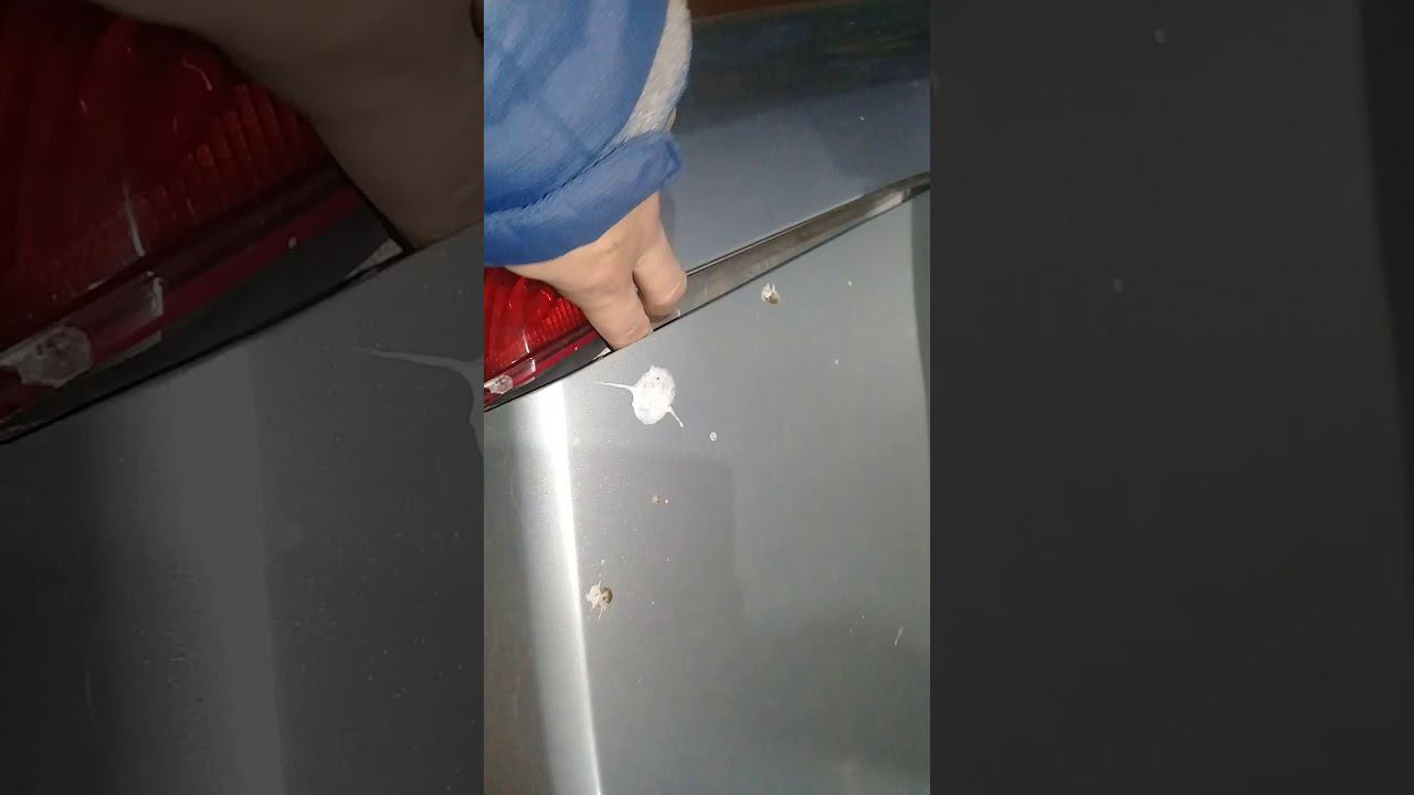 Кузовной ремонт Рено. Часть.1