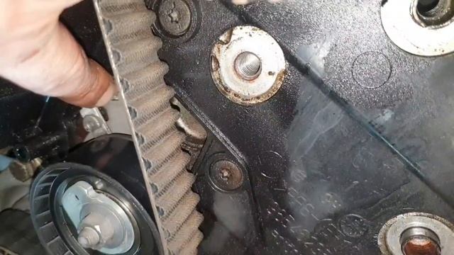 Белая симфония линий