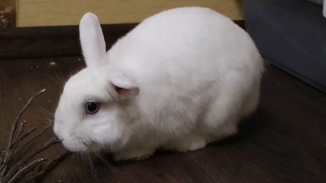 Ad42a0efd8190d665e0f8e0a50f97d23