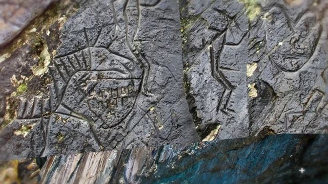 85 регионов России