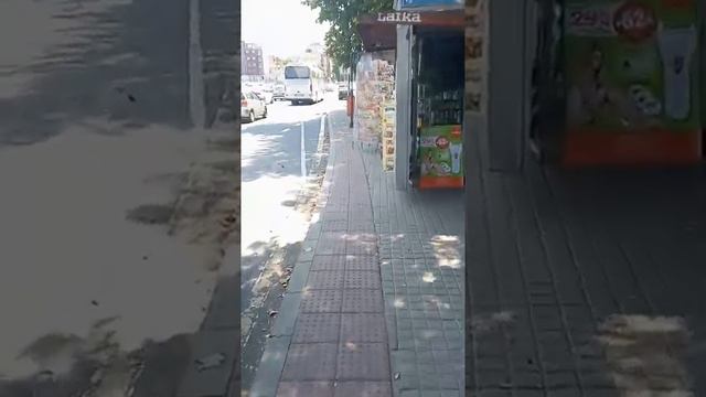 Точки Зрения