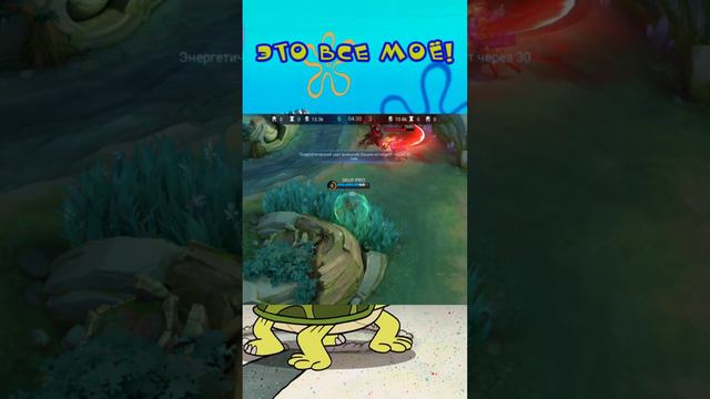 гатоткача выиграл черепаху за секунды