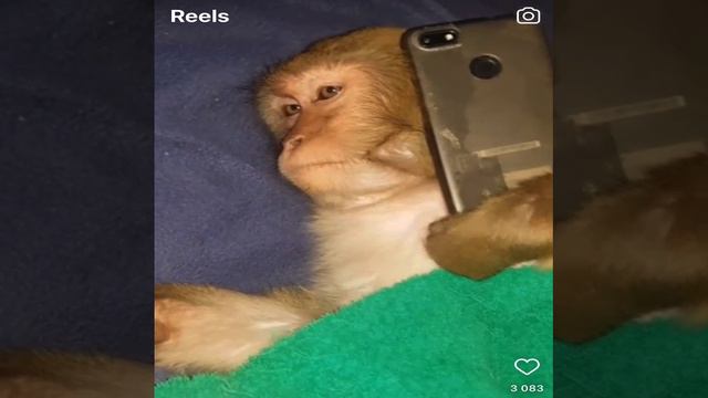 С малышками перетирает