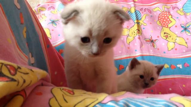 C469859670a07e5b451eafd1ac5160ba