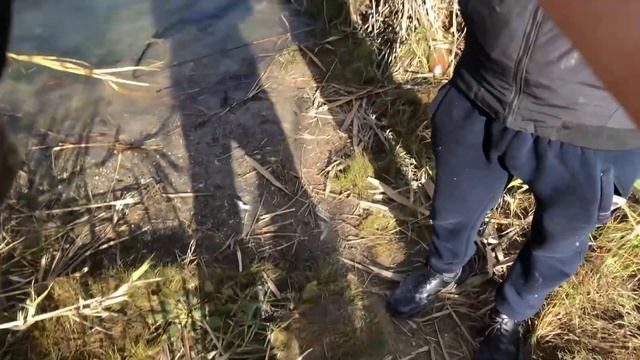 ?ВЫЛАЗКА ЗА КЛЫКАСТОЙ Дугино & Махин! #щука #щуканавоблер