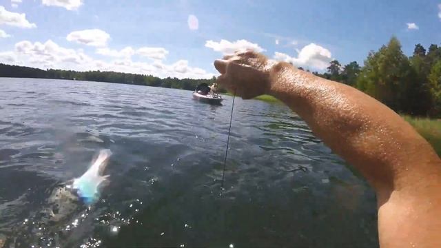 ИСКАЛ РЫБУ - СЛУЧАЙНО НЫРНУЛ С IPHONE 11 PRO MAX