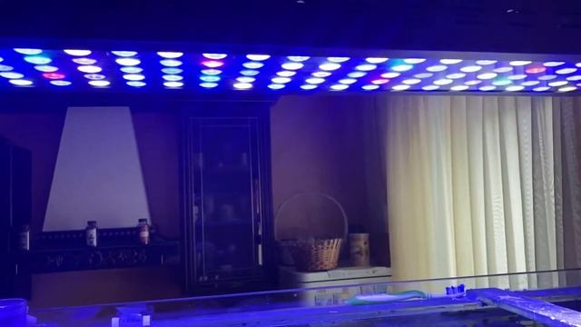 Оборудование для Морского Аквариума | Морской Аквариум | Помпы | Пенник | Водорослевик | Свет