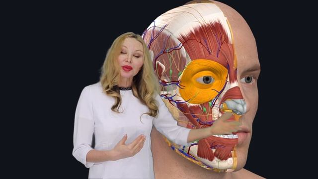 2ccedc524b17ed96797baea3f0bbe321