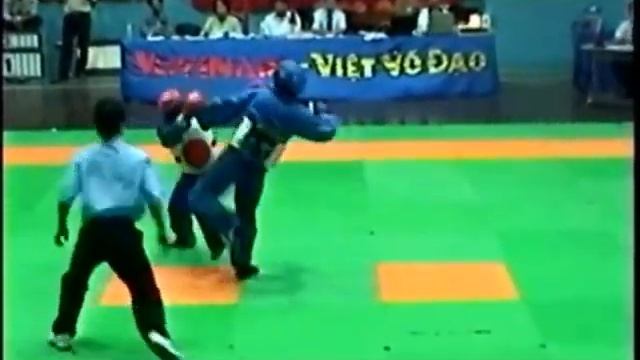 кубок вовинам вьет во дао Vovinam Viet Vo Dao