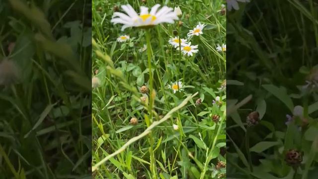 B384504b083c0c08d69dd1f47e89d2dd