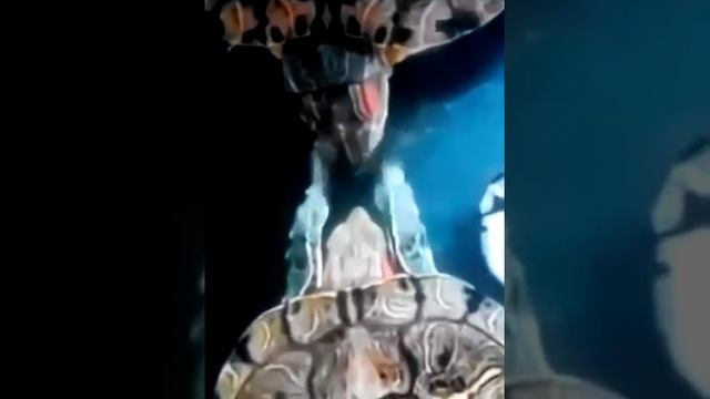 4fac4b349f39e3bc116f366585014cc0