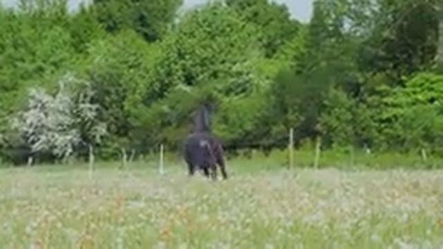 Soothing Music For Nerves? Healing Music For The Heart And Blood Vessels, Relaxation