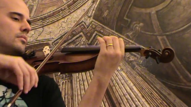 FINE OLD CZECH VIOLIN Stanislav Brazda バイオリン скрипка 小提琴 190