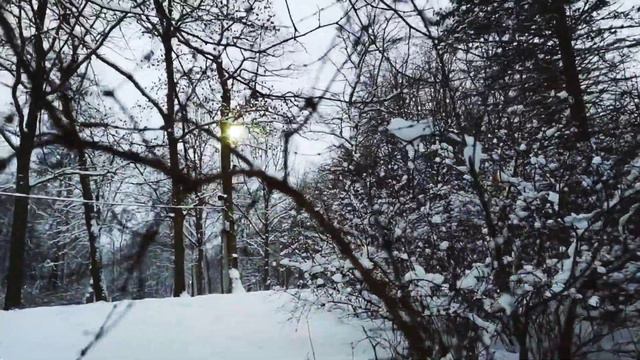 VID 20230106 103157 Вычитанные страны 1920 Р. Стивенсон...Павел Васильев Лахтинский