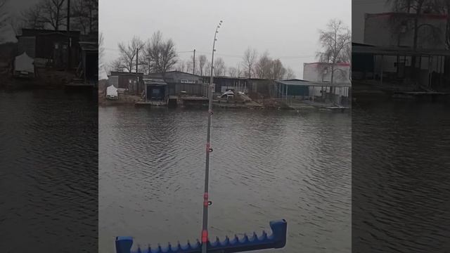 Рыбалка в Запорожье 2021 . Ловим с причала поплавком и фидером белую рыбу.
