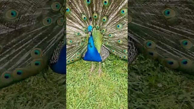 850c08df47e284a835f9ee6c291df112