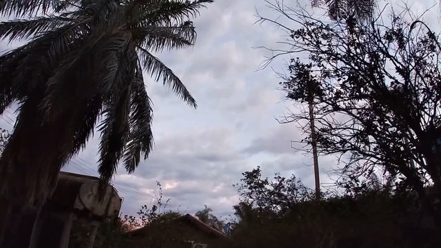 Бразилия на колёсах.Пантанал-царство животных!