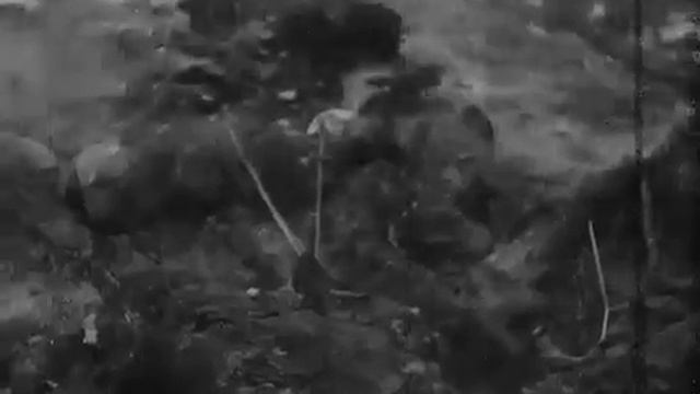 3cf8ed1bad6be20e16555629016db0d4