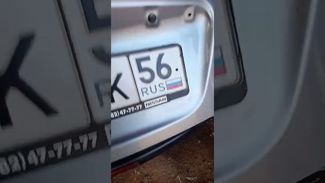 Световые инсайты