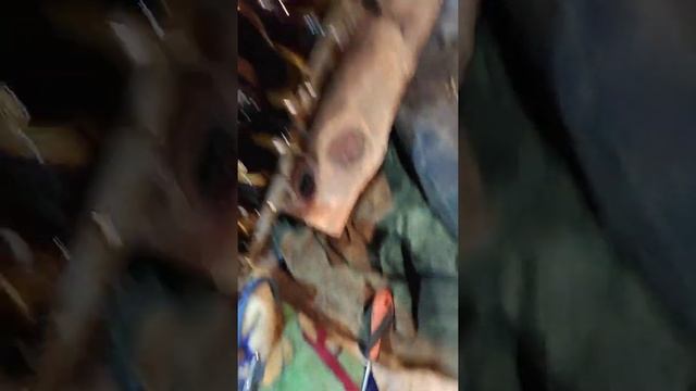 Открытые дороги Honda