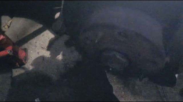 Чистый дом - чистая гармония и радость