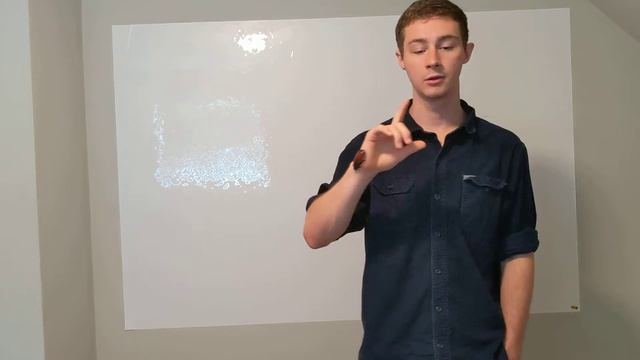 Gromphadorhina Portentosa Overview Video - Madagascar Hissing Cockroach Care Sheet