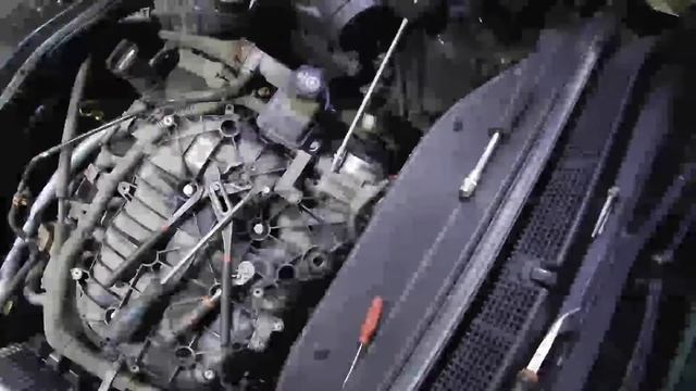 VueJS: Советы и Трюки