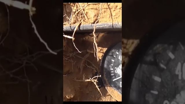 ОТКОПАЛИ МАШИНУ 70Х ГОДОВ #димакладов #находка #shortsvideo