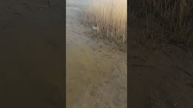 Туманное утро. Рыбалка на озере Пески