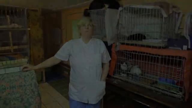 Передача о Приюте Ирины Добролюбовой!