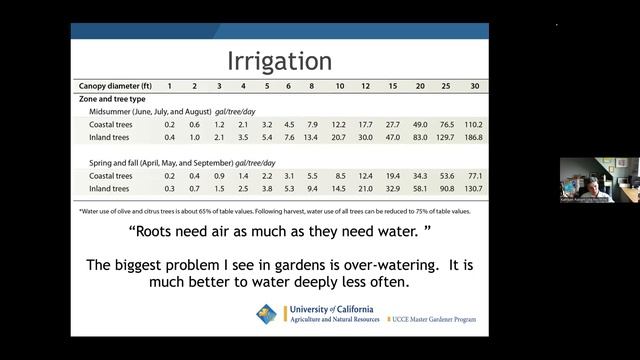 Bare Root Fruit Trees   Selection And Planting