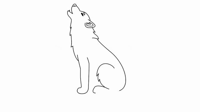How To Draw A Wolf | Easy Drawings