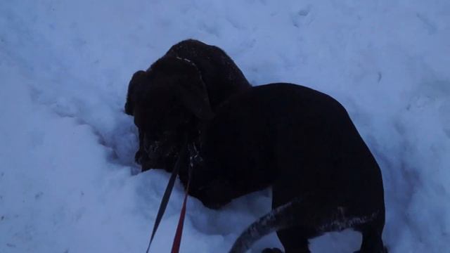 652cc3e53fab7685b763b6f79e6c0064