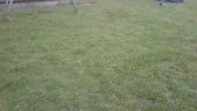 Прыжки с качели