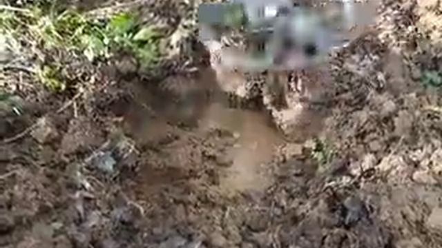 Garrett ACE 250 NEL TORNADO ,   Ossi Metaldetectors ( 21 )