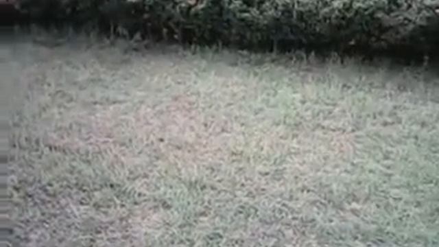 Rc Helicopter Mjx F45 Rumah Pak Chat