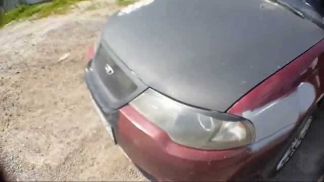 Дайво-парад