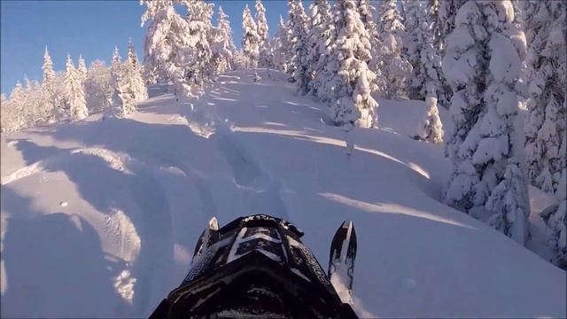 Best Day Ever Polaris Pro Rmk 800-18/ Blue Bird!!