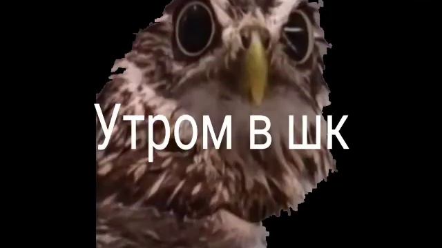 Я пошла в шк для поцанов!
